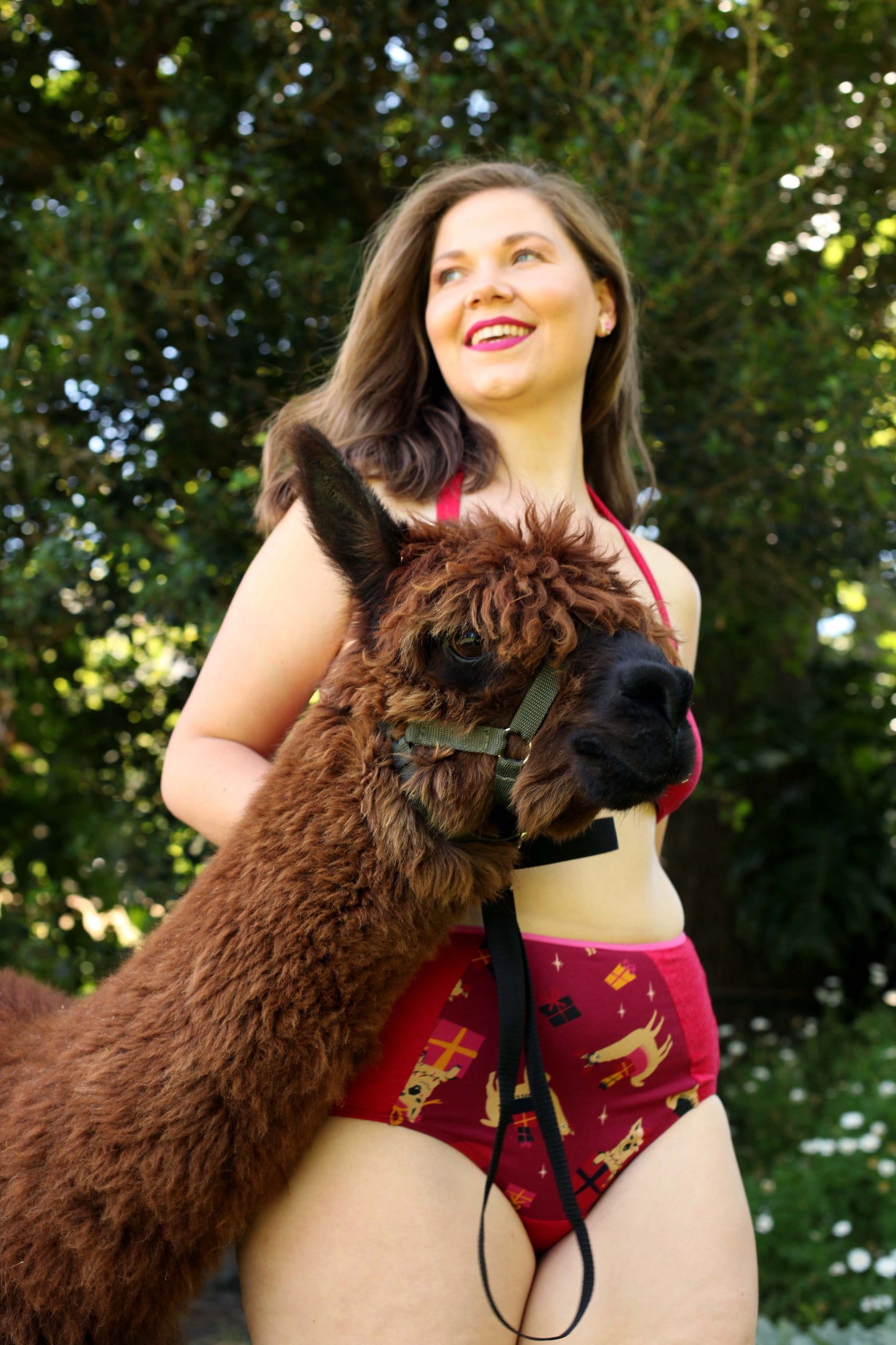 High-cut brief - Fa La La Llamas