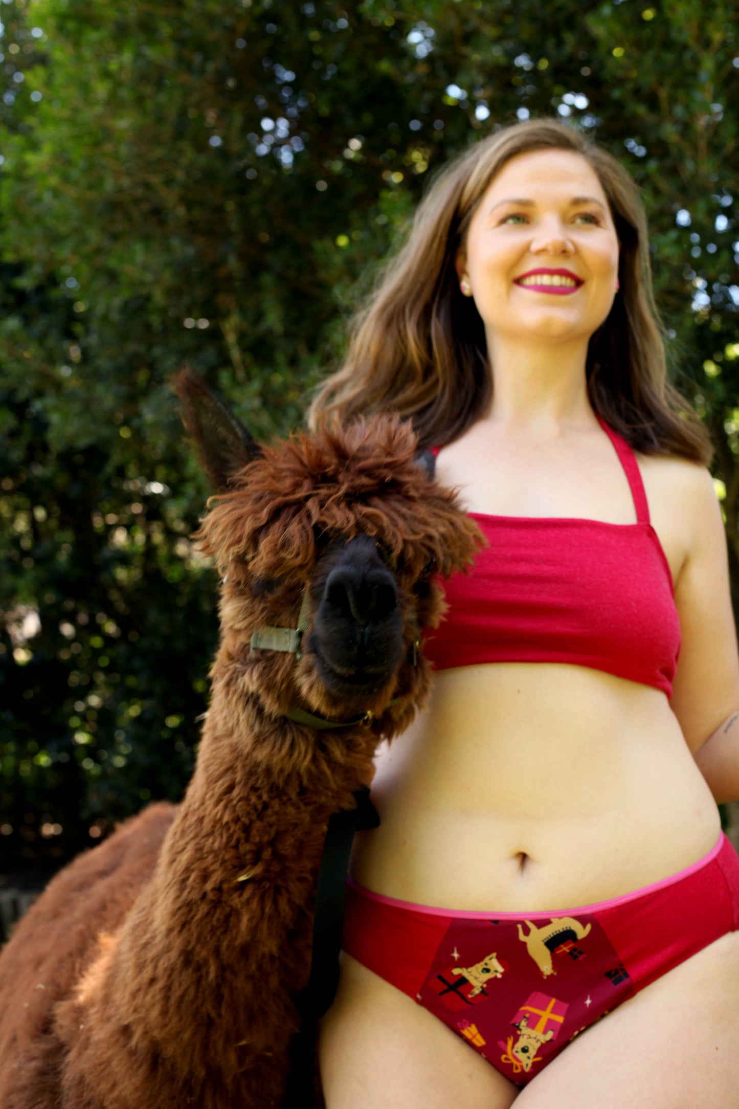 Clearance - Mid-rise bikini - Fa La La Llamas