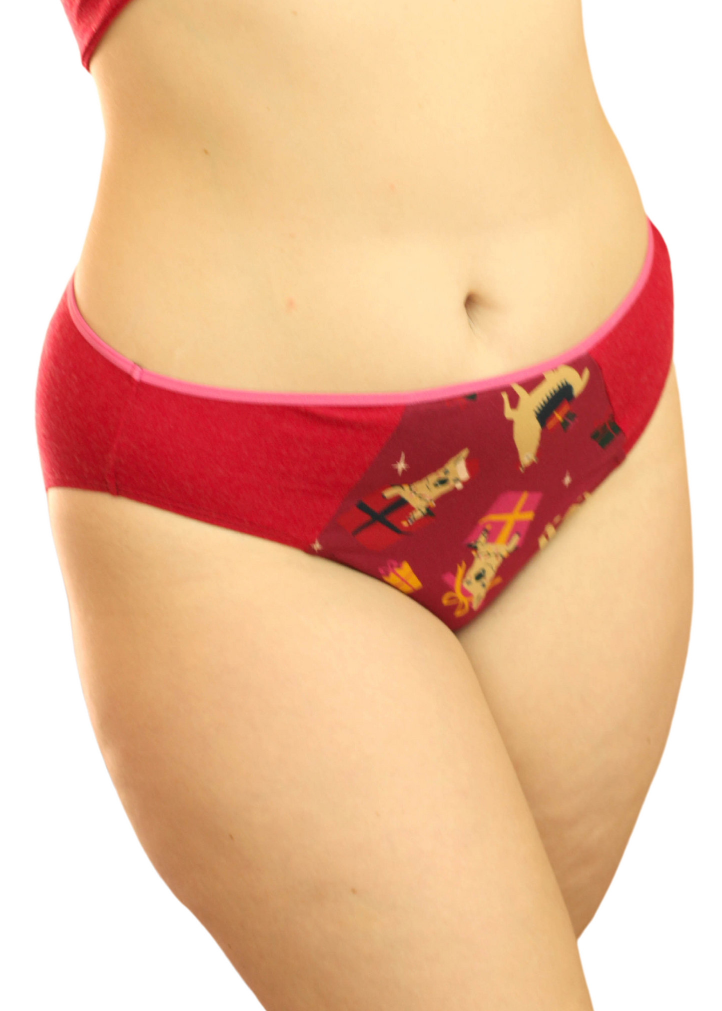 Clearance - Mid-rise bikini - Fa La La Llamas