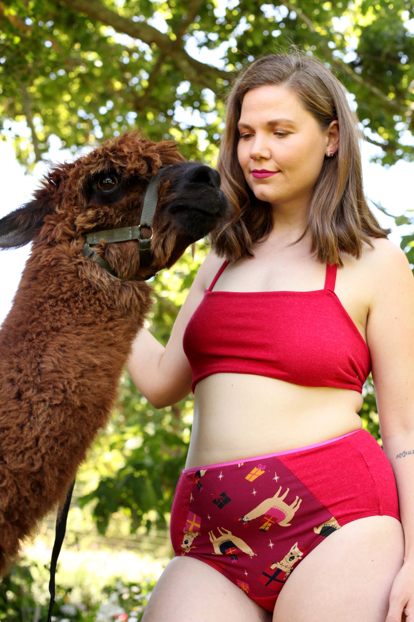 High-cut brief - Fa La La Llamas